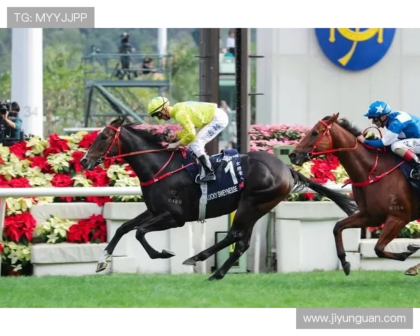 2026年马会投注官网地址官方入口，确保账号安全与资金保障的详细攻略